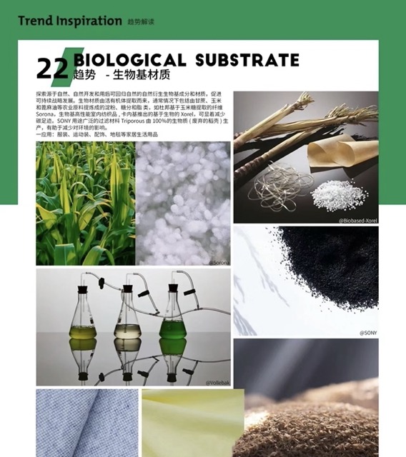 IMG_4150 Medium.jpeg